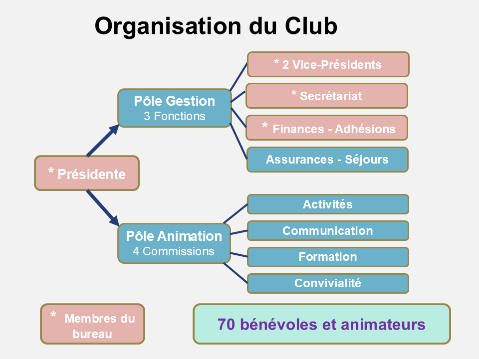 Diapositive Organisation